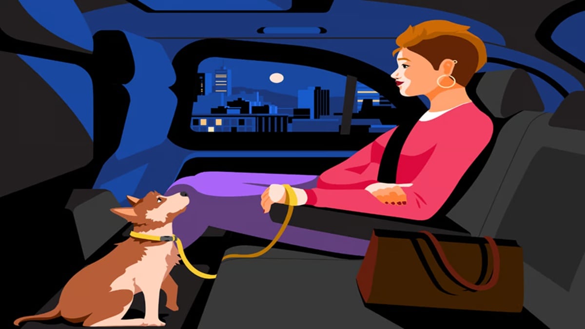 9i5j1ld8 uber pet 625x300 06 March 25.jpg
