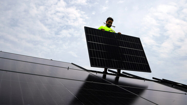 Clean energy solar panel clean 1 1746012369.jpg