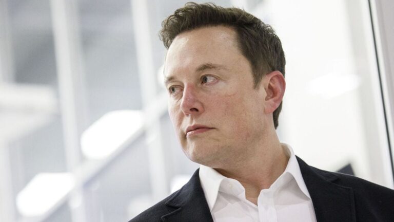 Musk bb large 1667550267279.jpg