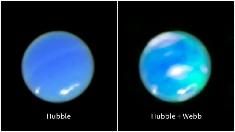 Neptune 1 1743059657892.jpg
