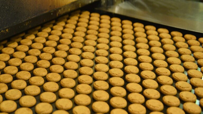 biscuits production 163196122116x9.jpg