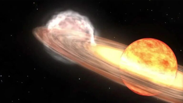 blaze star 1743159649523.jpg