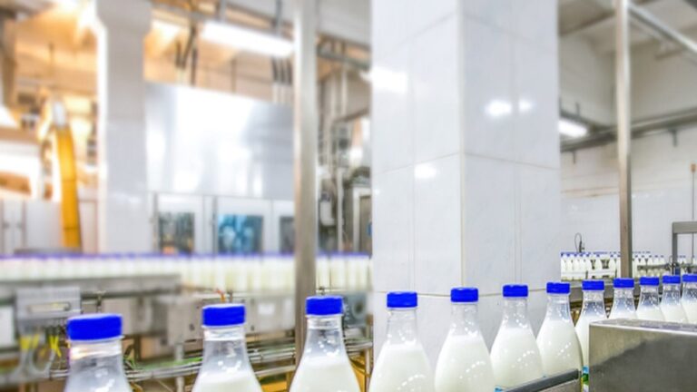 business 3 163228622816x9.jpg