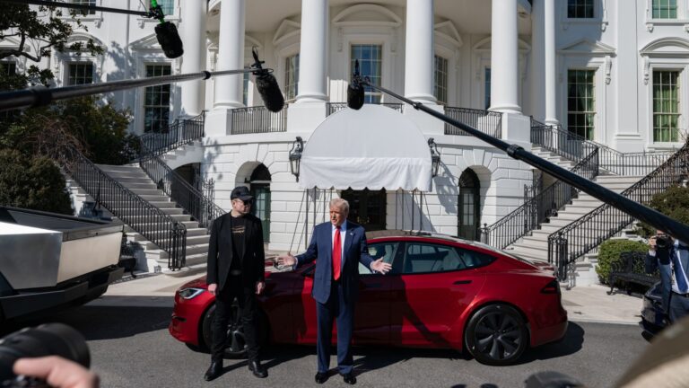 gohki2mo donald tesla 625x300 12 March 25.jpg