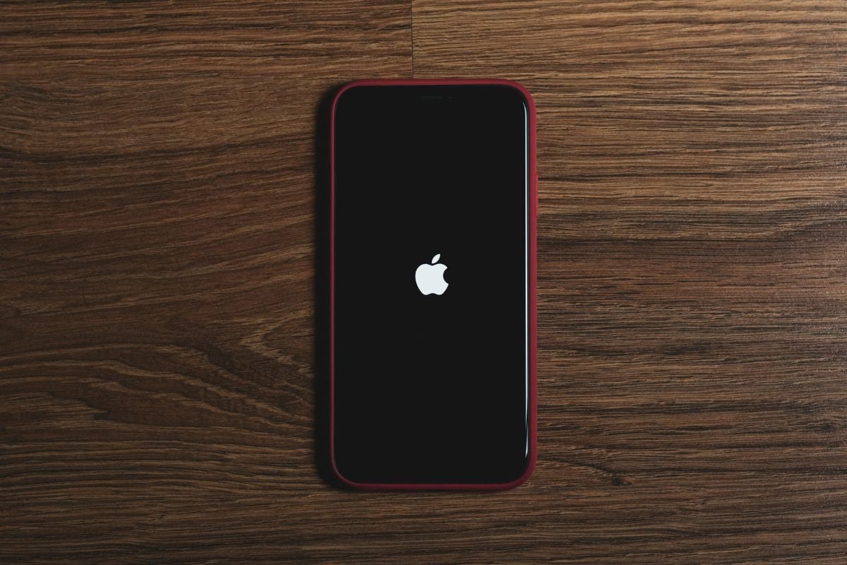 iphone 3 1723206236616.jpg