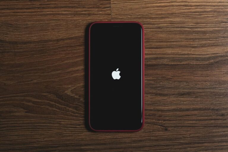 iphone 3 1725874430572.jpg