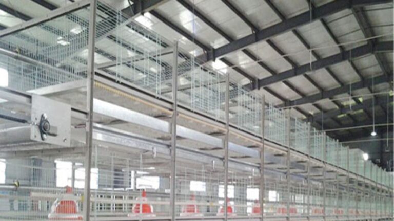 poultry farming 163109659616x9.jpg