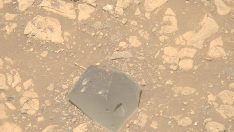 T8rogn78 skull shaped rock 625x300 23 april 25.jpg