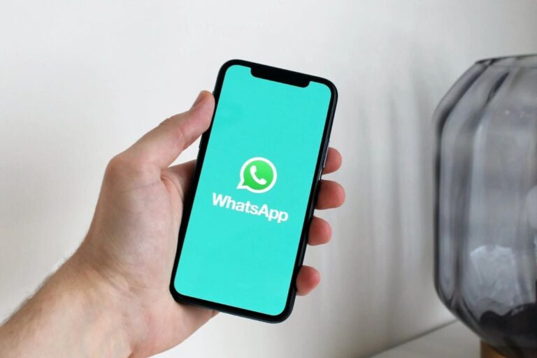 whatsapp logo2 1726576429882.jpg