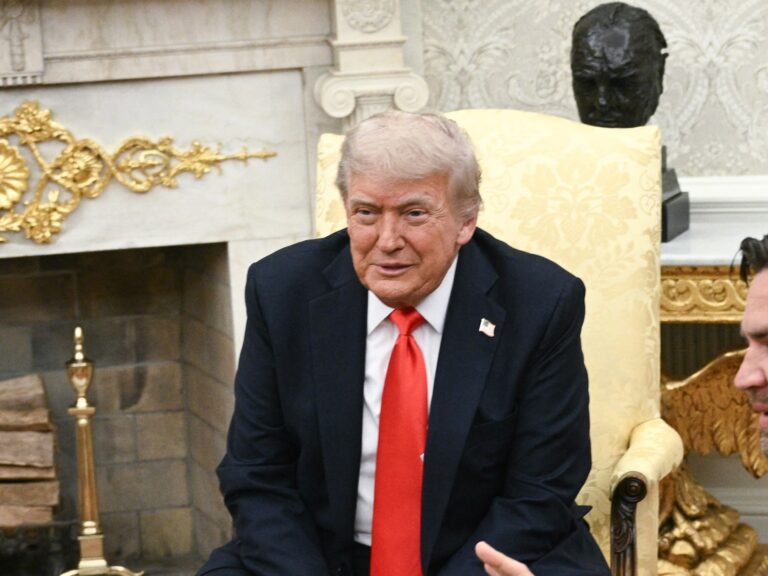 AFP 20250605 49DJ3NK v1 HighRes PresidentDonaldTrumpHostsGermanChancellorFriedr cropped 1749148.jpeg