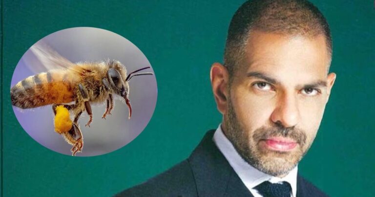 Sunjay Kapoor bee 2025 06 7028941027d001bc4d4c6e6e243e59a4 16x9.jpg