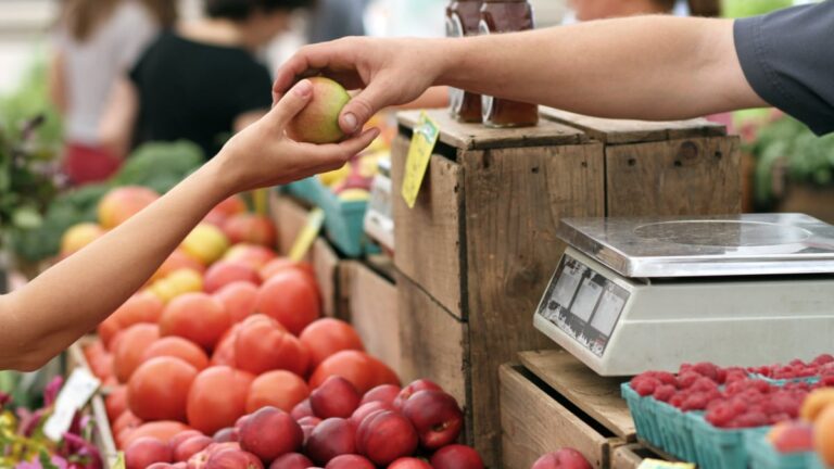 grocery deliveries image pexels 1585723233473.jpg