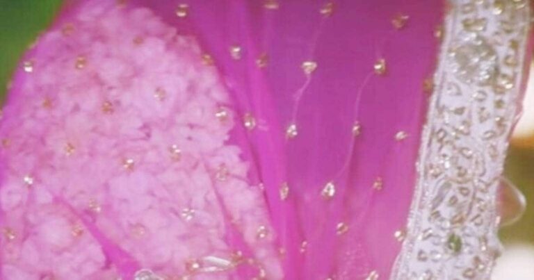 renuka 1 2025 07 dc2edfbb2a08ff2c8675a334290b66e2 16x9.jpg